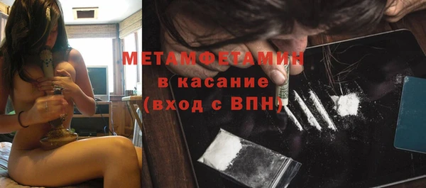 прущие грибы Абаза