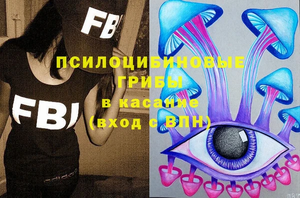 прущие грибы Абаза