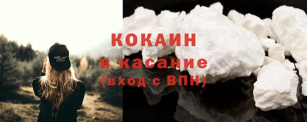 прущие грибы Абаза