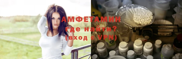 прущие грибы Абаза