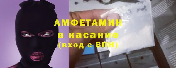 прущие грибы Абаза