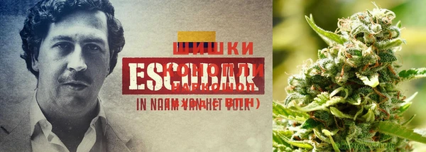 прущий лед Абинск