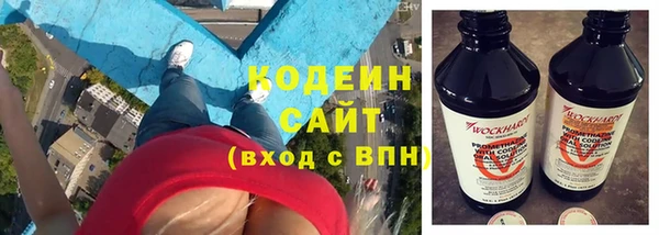 прущие грибы Абаза