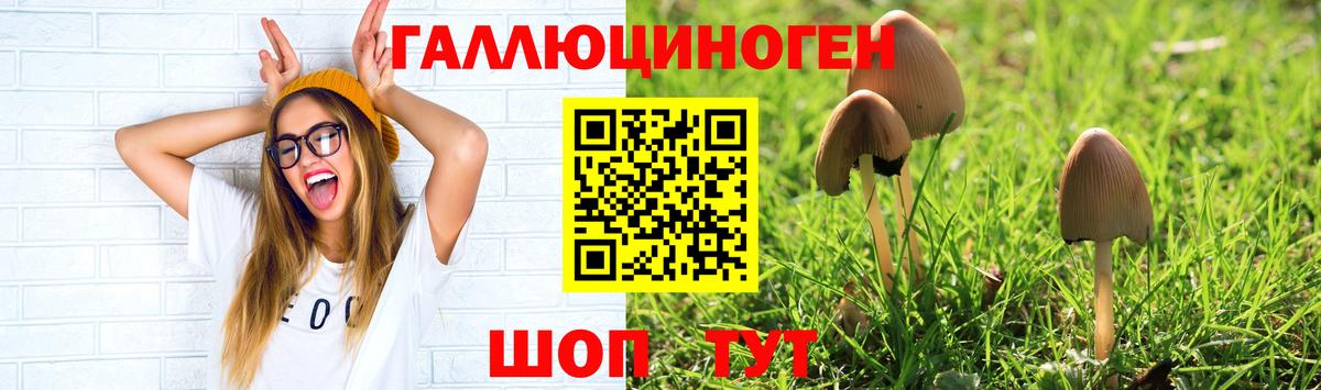 Копейск  Галлюциногенные грибы мухоморы  Вход с VPN  Псилоцибиновые грибы мицелий 
